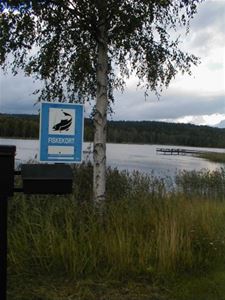 Fiskekortskylt som hänger från en björk med sjö i bakgrunden.