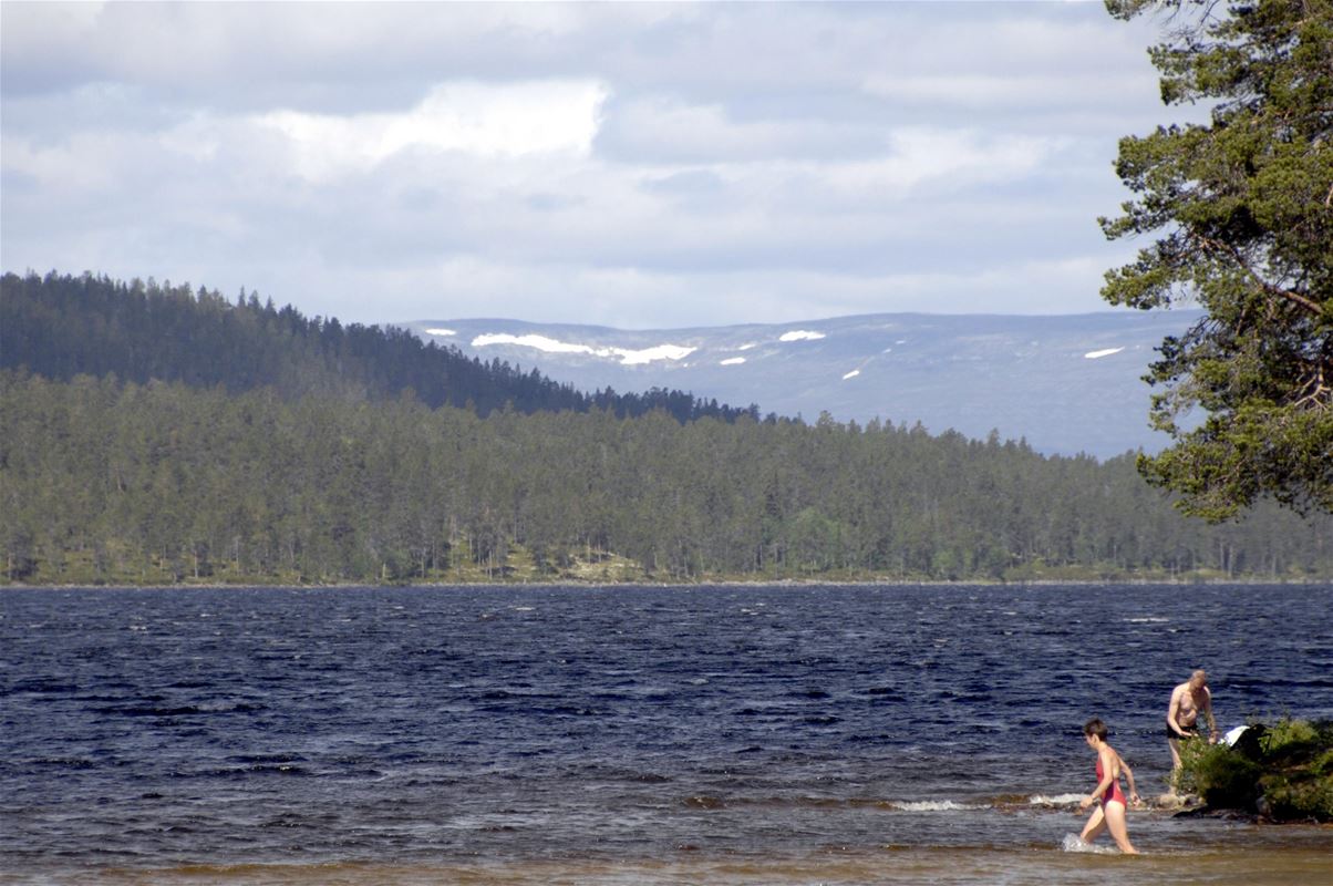 People are taking a bath in lake Burusjön  