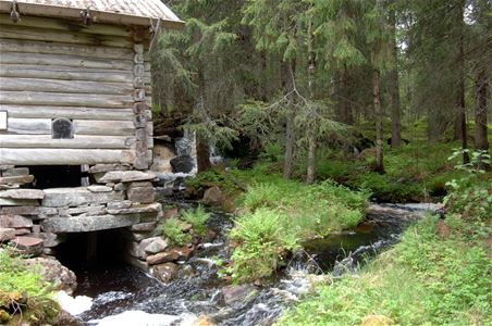 A small river by an old house in the forest