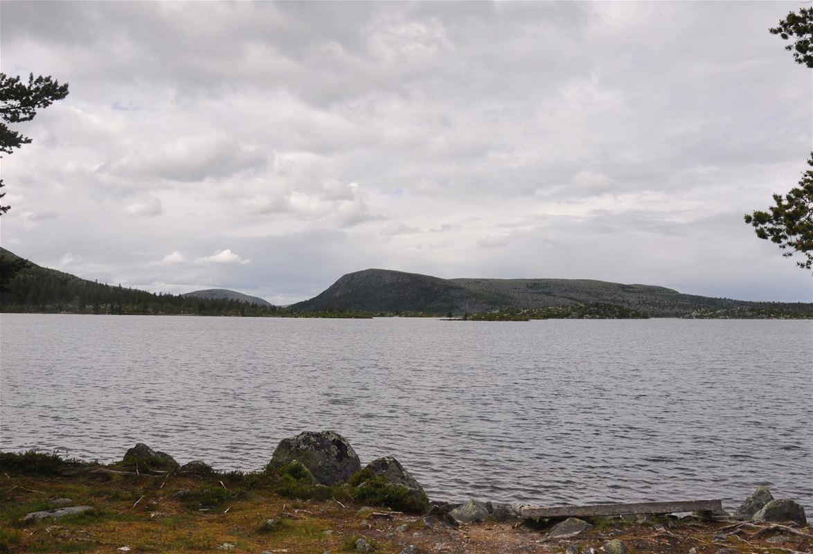 The lake Våndsjön.
