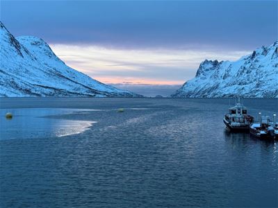 Snowcovered mountains and fjord view