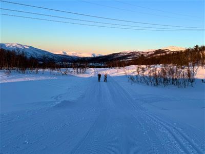 Cross-Country skiing trails