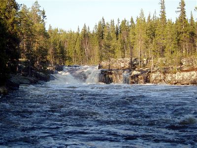 Ett litet vattenfall med stenar och träd runtom