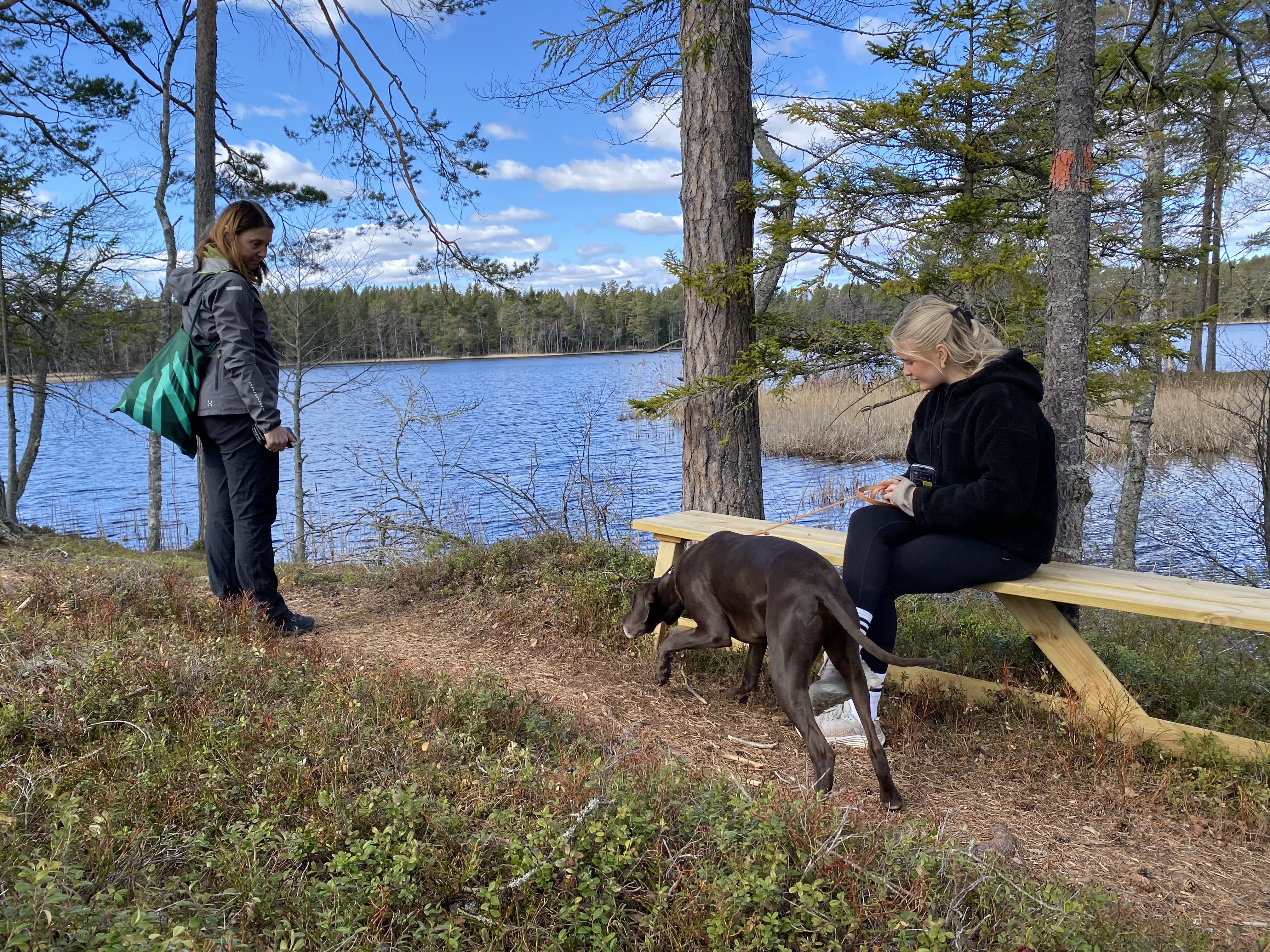 Pipsjöleden