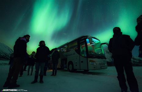 A group of guests around a bus under the northern lights