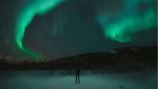Person ser opp på Nordlys