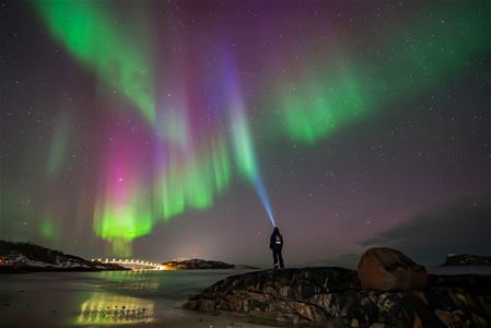 Person with headlamp looking up at the Northern lights