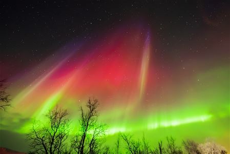 Northern lights 