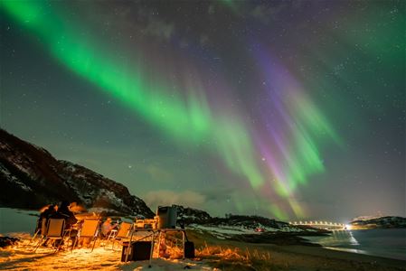 Guests around a campfire 