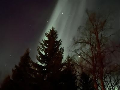cbis:2781236-12
