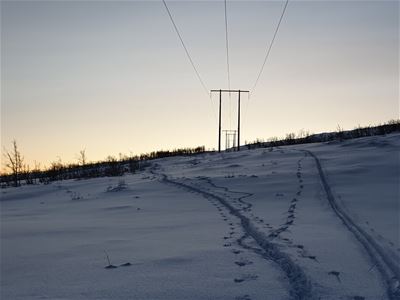 Skisporene opp fjellet