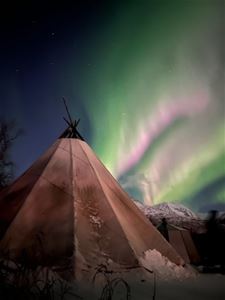 Lavvo og nordlys