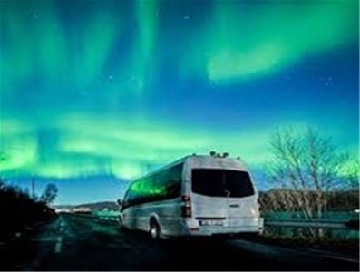 cbis:2781418-2