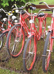 Cykelleden åsnen runt