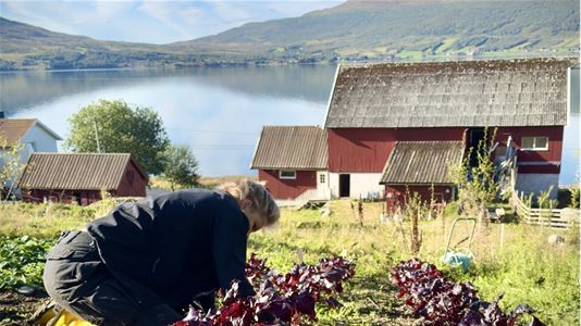 En person som jobber på en gård