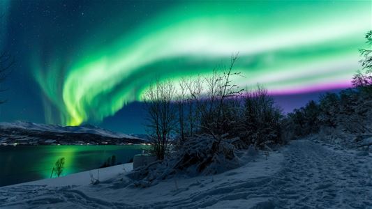 Nordlys