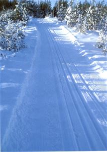 Ski trails.