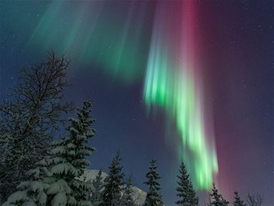 Northern lights in various colors