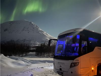 Bus and northern lights