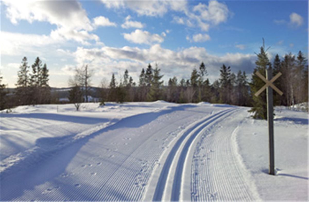 Cross country skiing in Nordanstig image 1