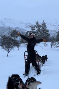 A guest standing on a dogsled