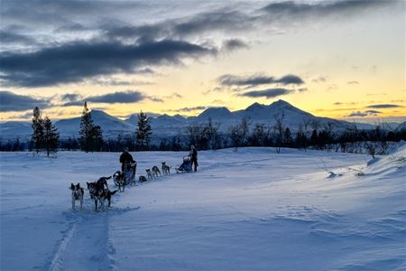 Guests on two dogsledds in the Arctic