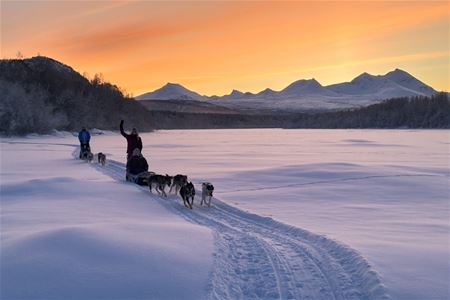 Guests on two dogsledds in the Arctic