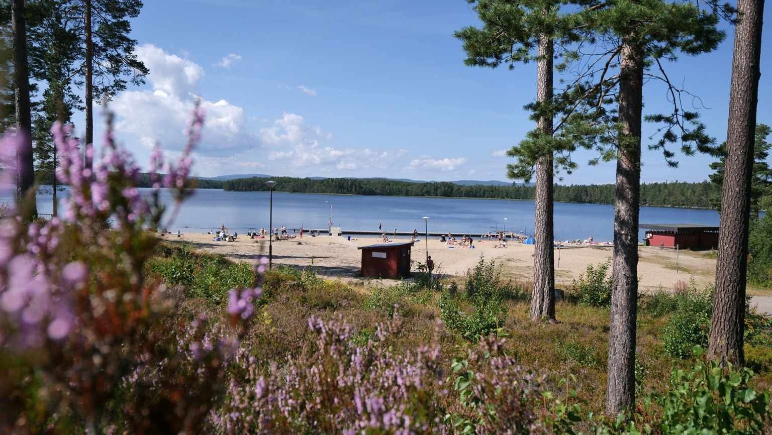 Camp Igge, Vandrarhem