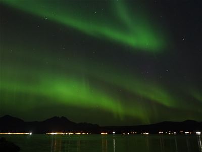 Northern Lights contrast the darkness around them and hover over the fjord