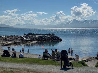 Mangefolk i telegrafbukta en fin sommerdag