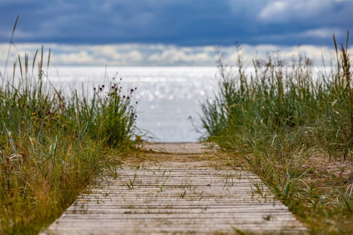 Wohnmobilstellplatz mit Strom image 1