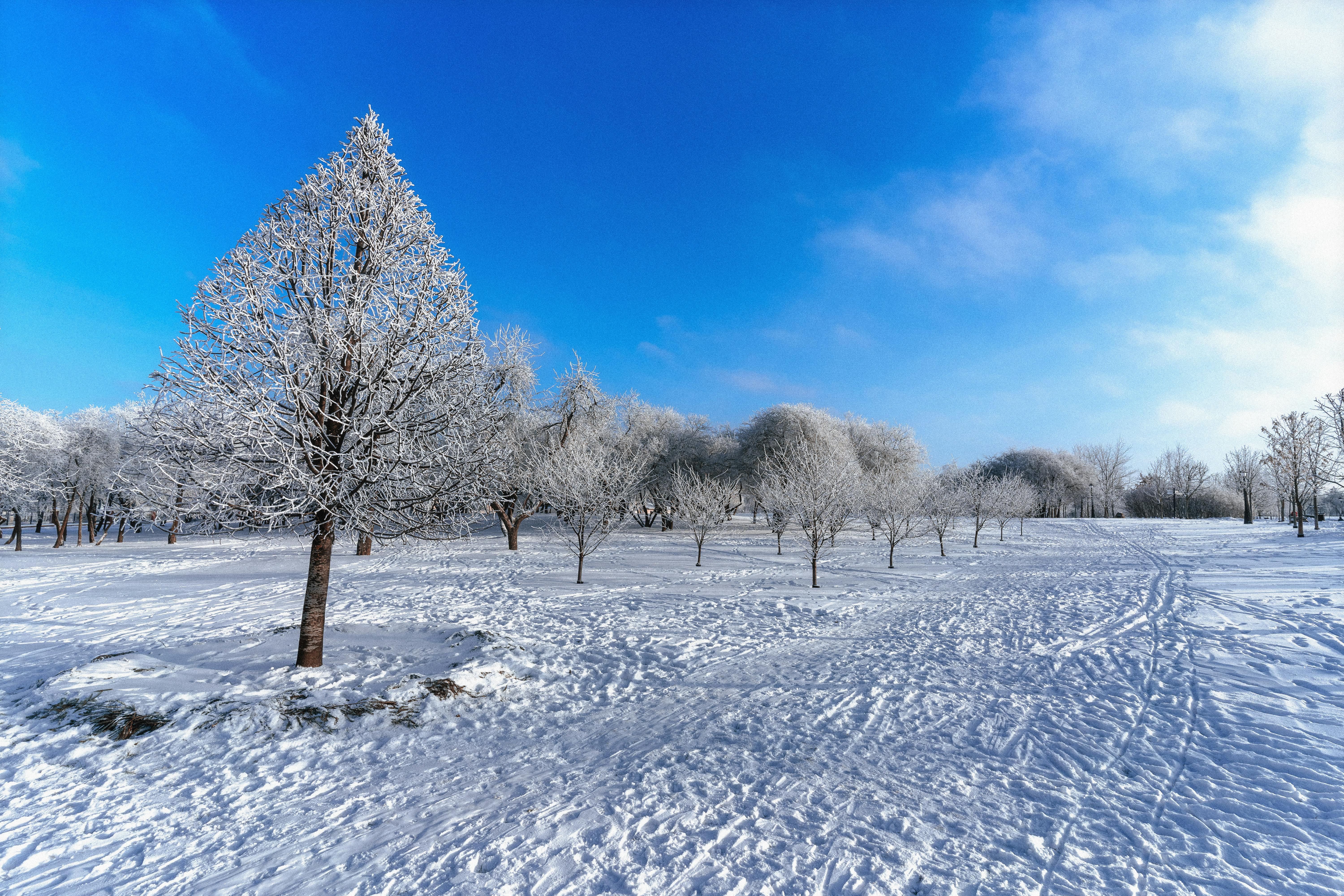 Sjungande pilgrimsvandring
