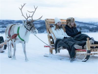 Guests on a reindeer sled