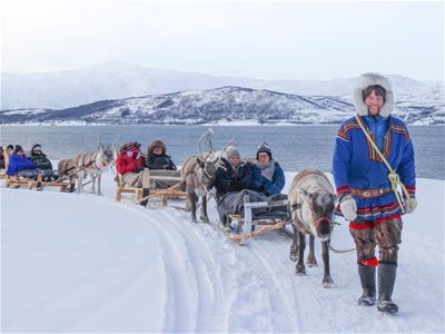 Multiple reindeersleds with guests on