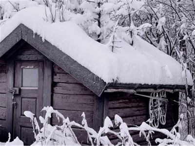 A small wooden cabin