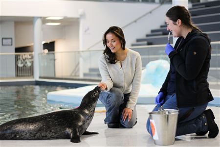 En guide og en gjest som trener sælen