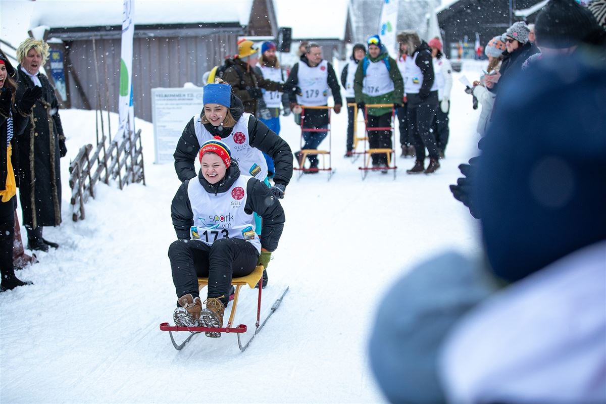 Kicksled rental - Tourist information image 1
