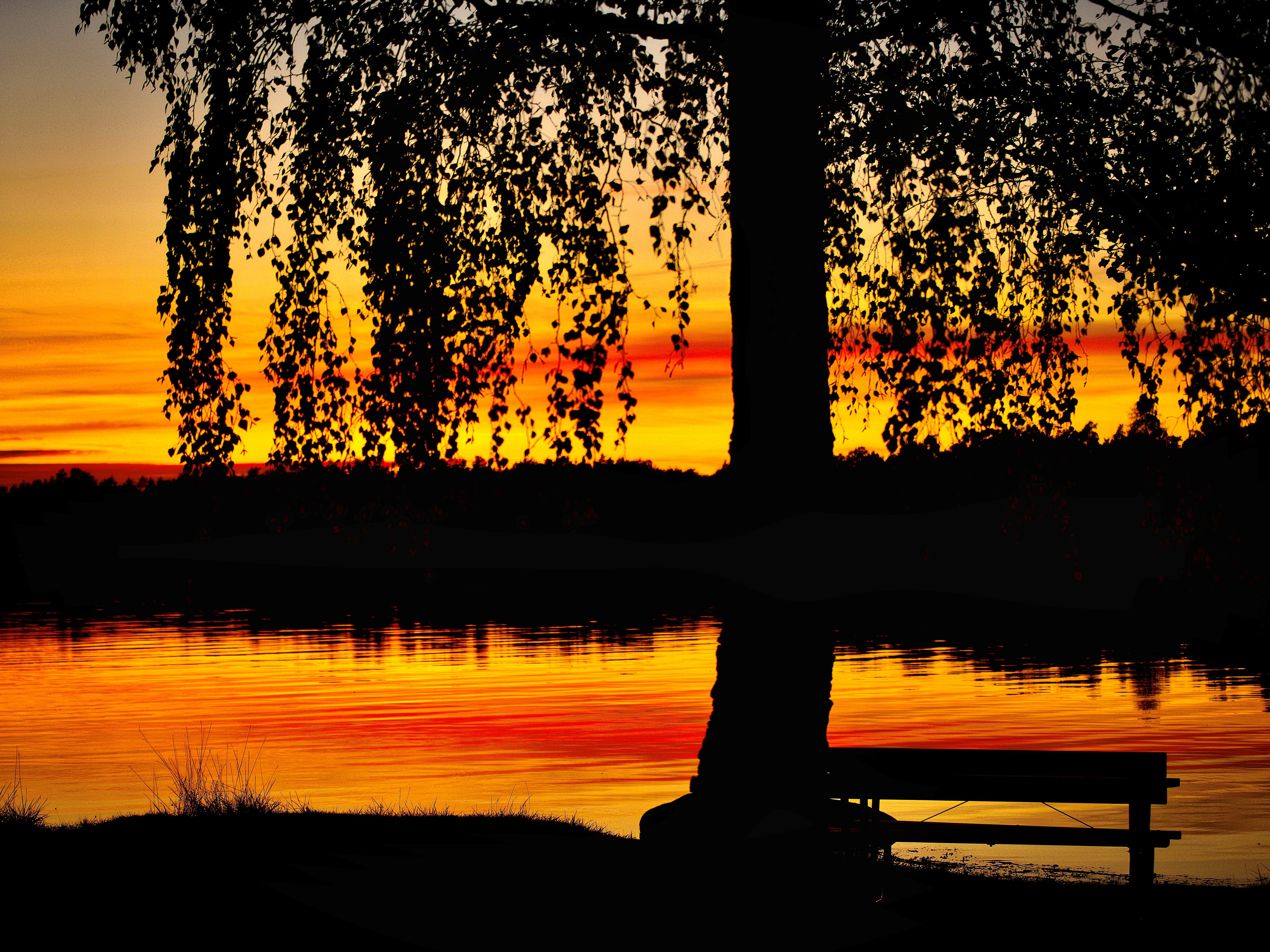 Utställning i Folkets Hus