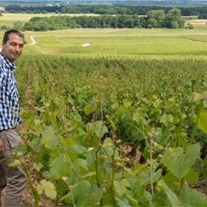 El imprescindible Pico Saint-Loup con Montpellier Wine Tours