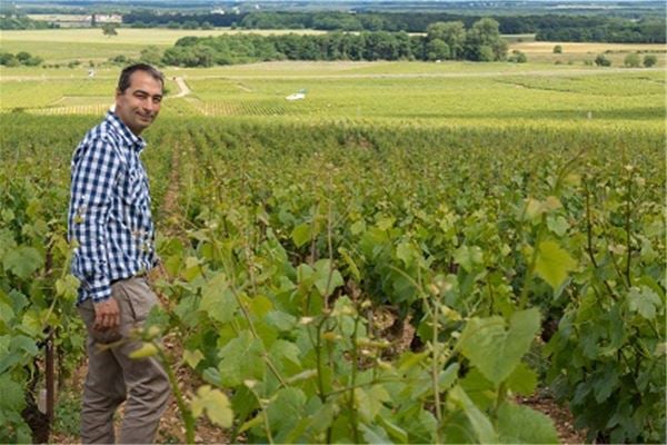 Nature tour: The essential Pic Saint-Loup with Montpellier Wine Tours