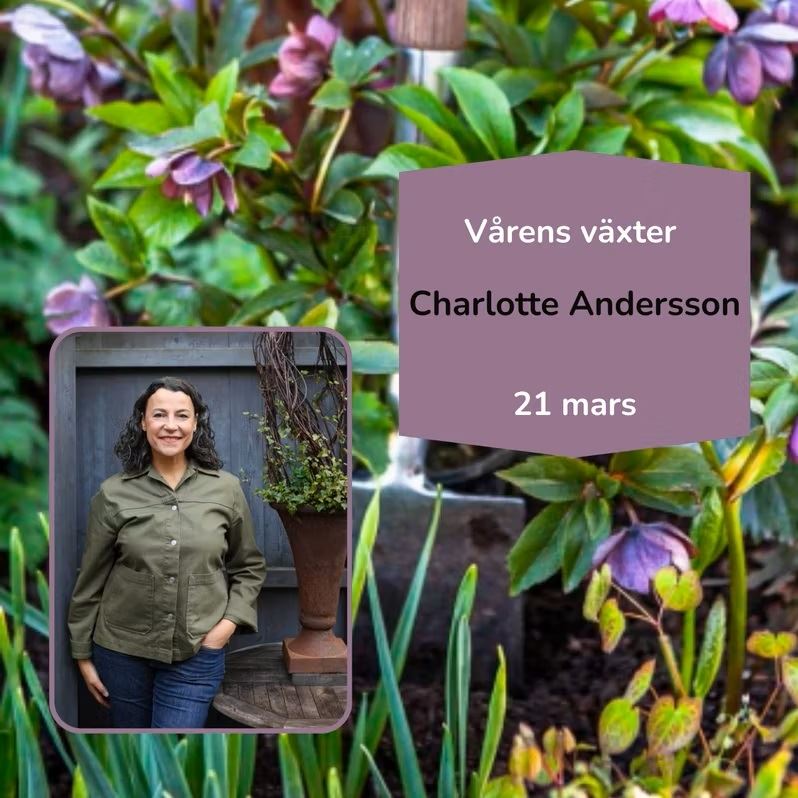 Föreläsning: Vårens växter - med Charlotte Andersson