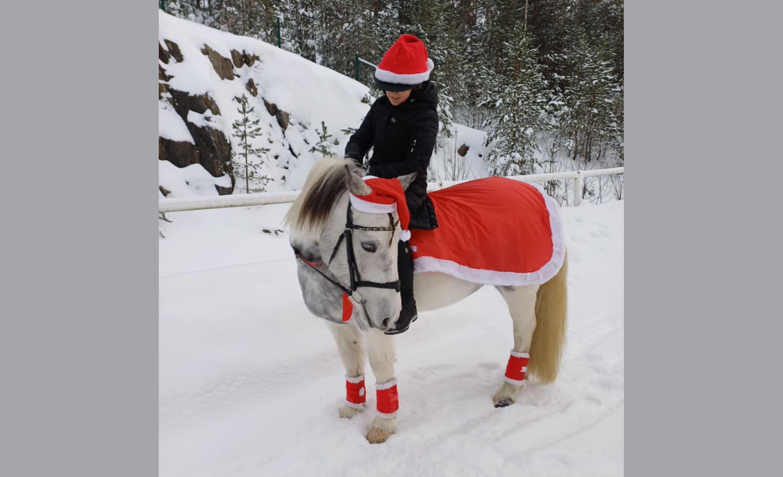 Jullovsaktiviteter på Ridskolan i Söderhamn!