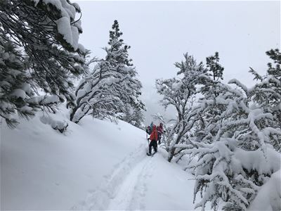 Guests out on snowshoeing trip in daylight