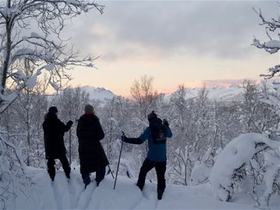 View over the Tromsø mountains while on skis