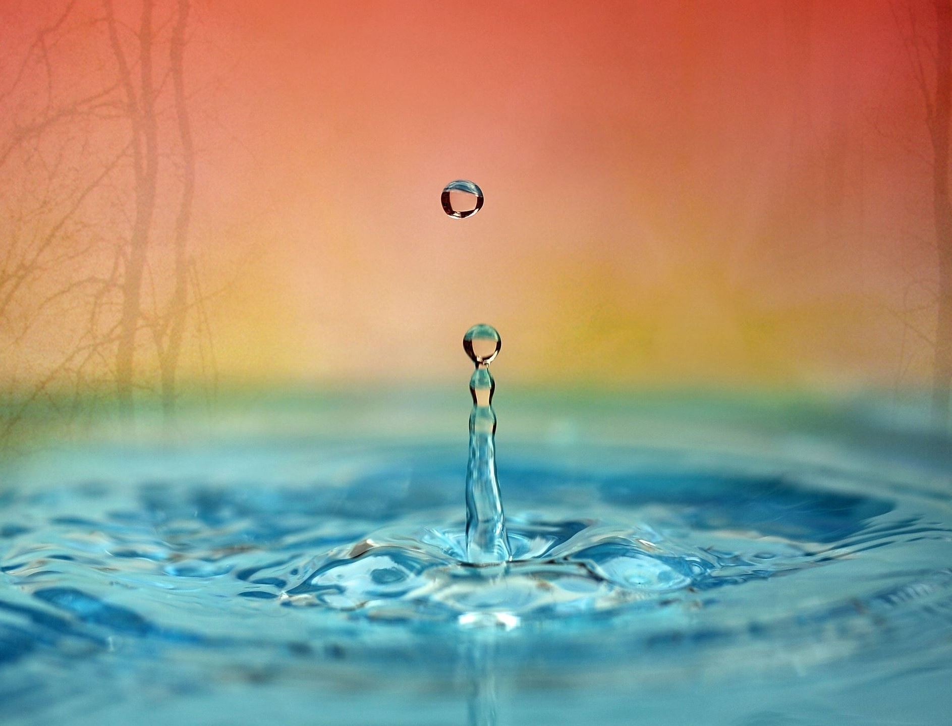 Afterwork med tema Hopp