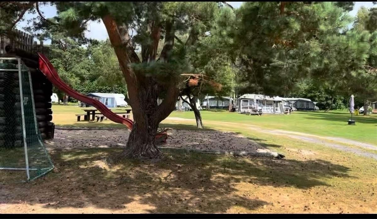 Herta Hotel – Familjerum image 1