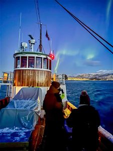 Gjester ser på nordlyset