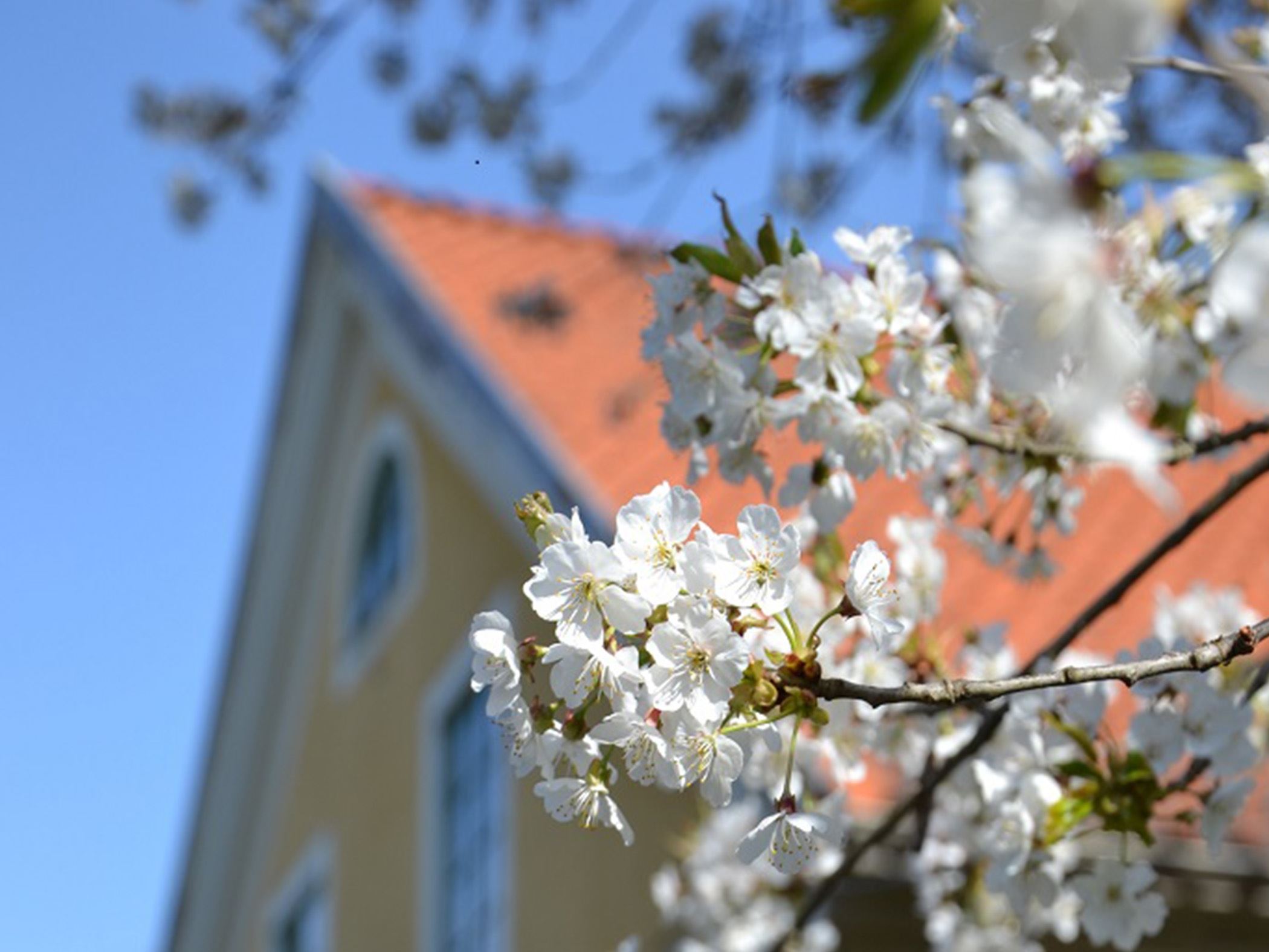 STF Tofvehult