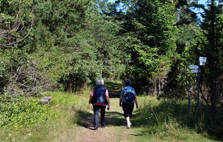 Leder och naturstigar i Gästrikland