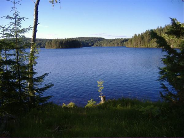 View over the lake. 